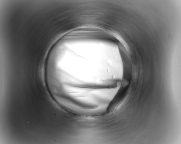 X0000088131100200706041943