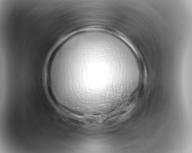 X0000088131101200706041943