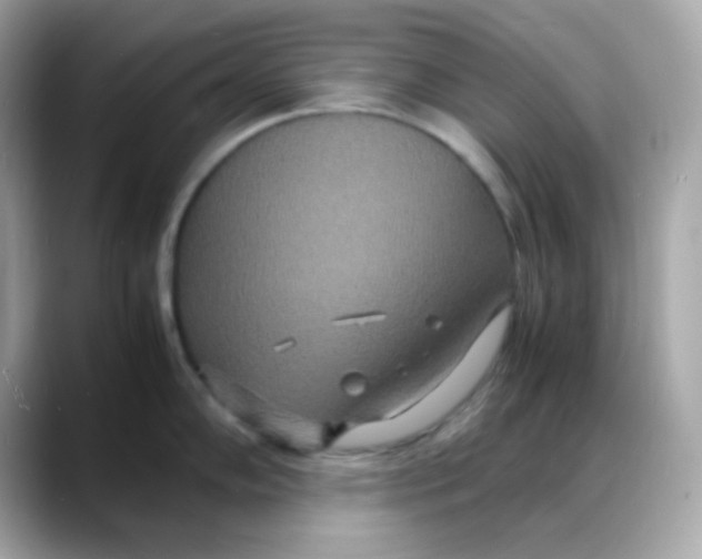 X0000088131102200706041943