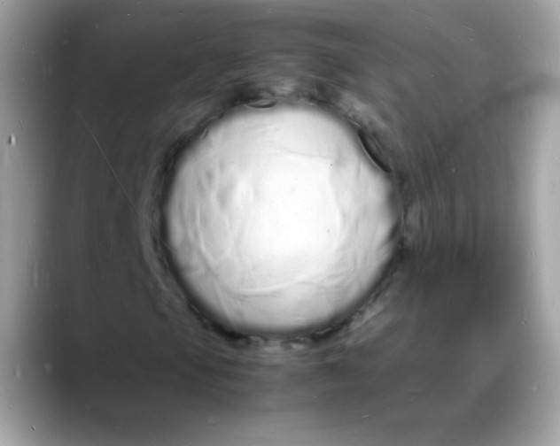 X0000088131105200706041943