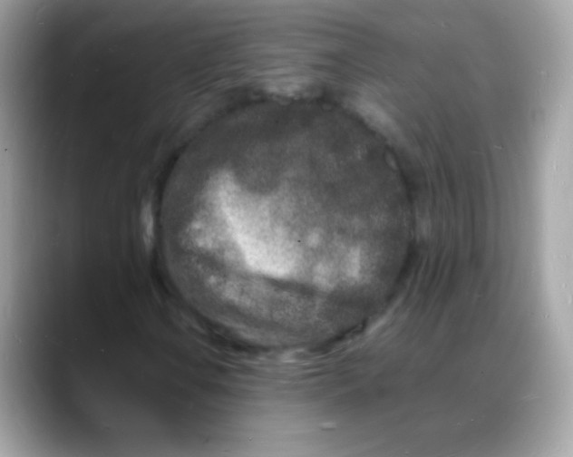 X0000088131106200706041943