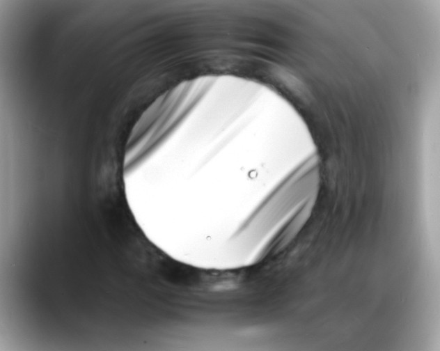 X0000088131111200706041943