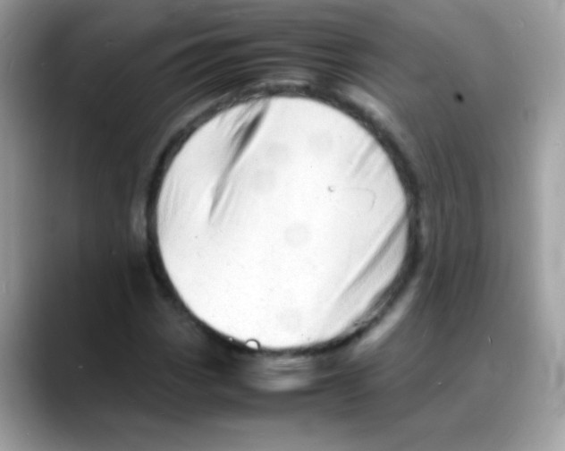 X0000088131113200706041943