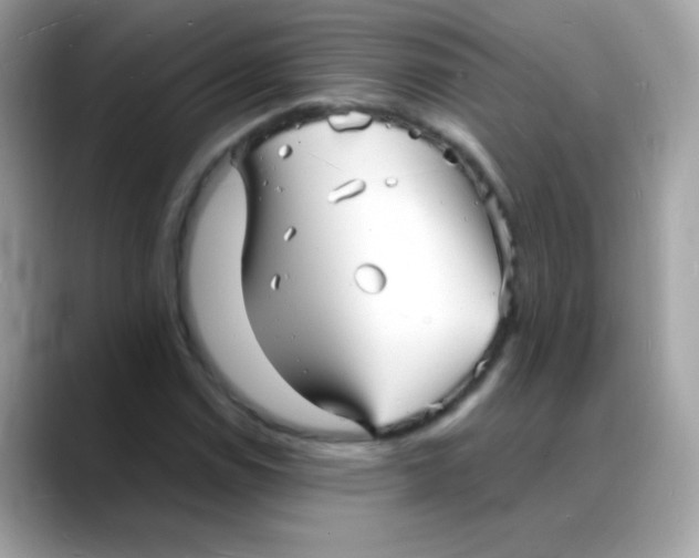 X0000088131114200706041943