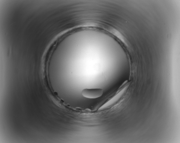 X0000088131116200706041943