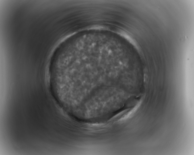 X0000088131117200706041943