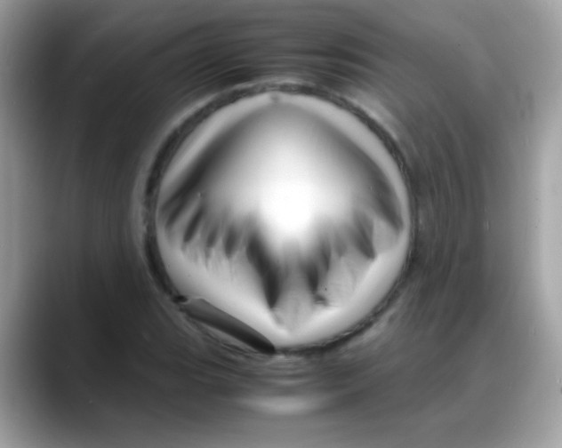 X0000088131119200706041943