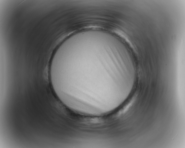 X0000088131121200706041943