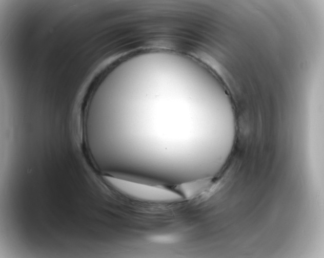 X0000088131123200706041943