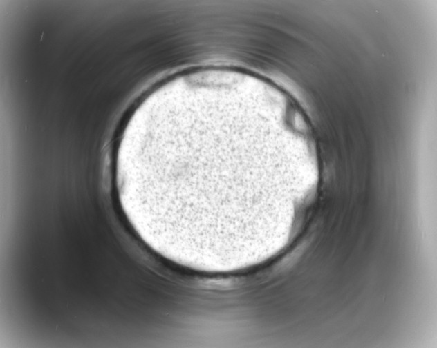 X0000088131126200706041943