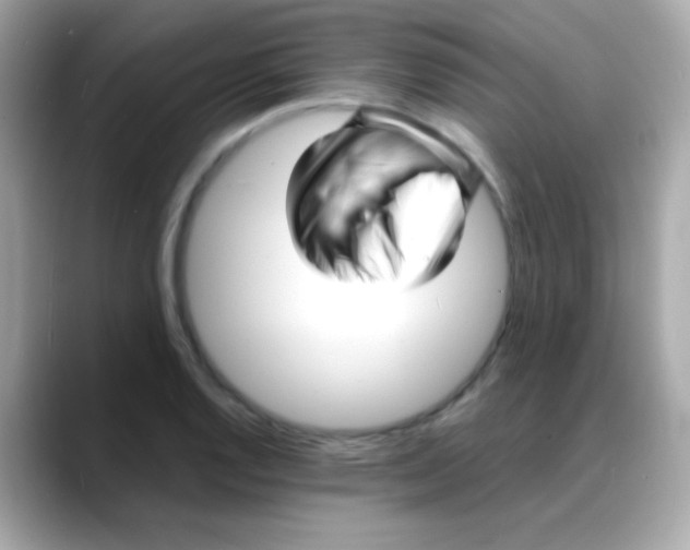 X0000088131128200706041943