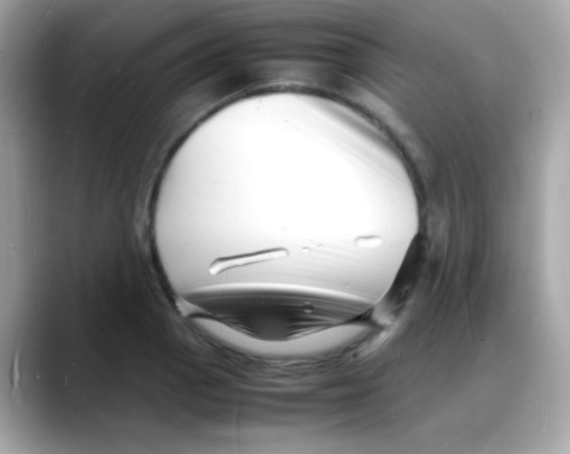 X0000088131129200706041943