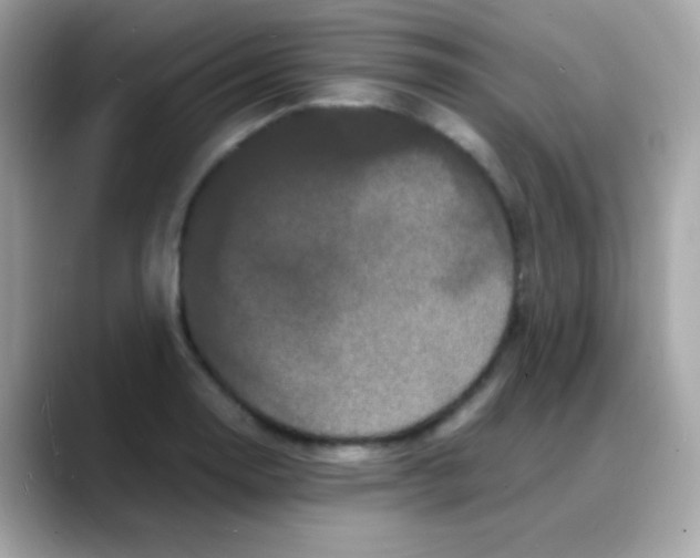 X0000088131130200706041943