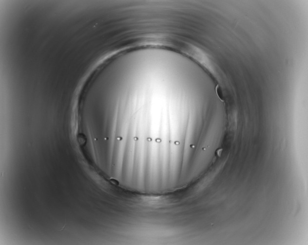 X0000088131132200706041943