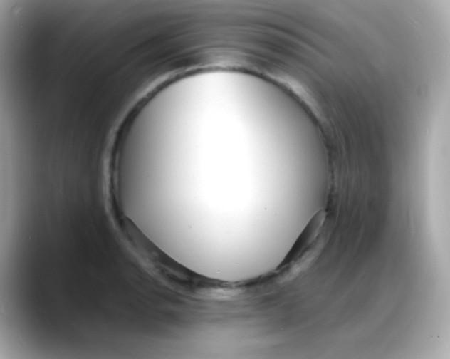 X0000088131134200706041943