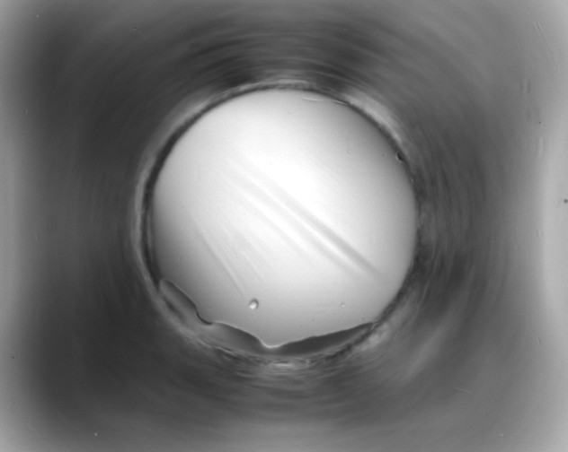 X0000088131135200706041943