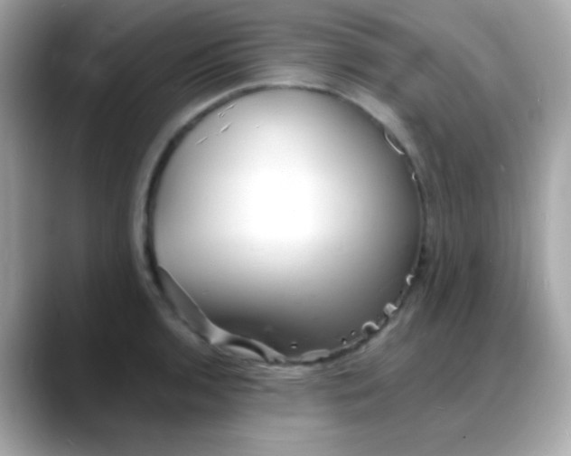 X0000088131136200706041943