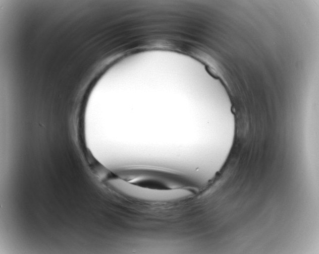 X0000088131139200706041943