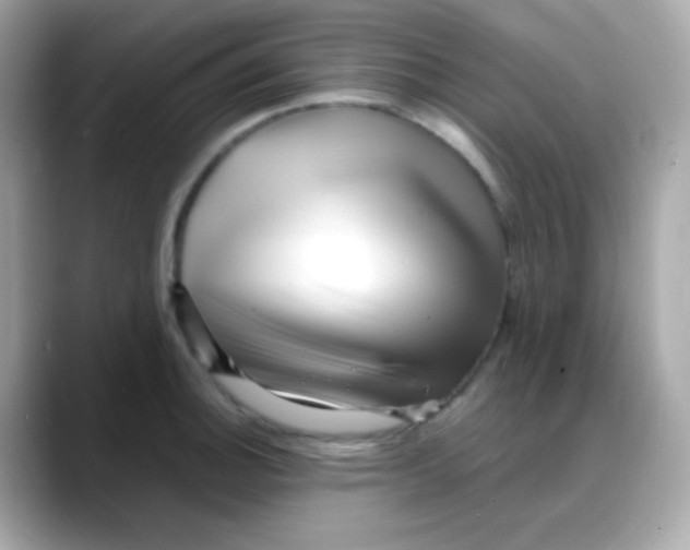 X0000088131140200706041943