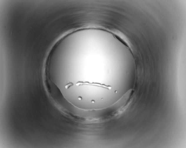 X0000088131142200706041943