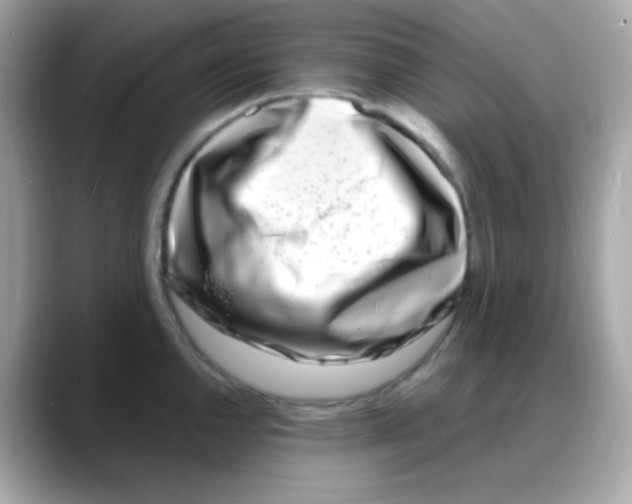 X0000088131144200706041943