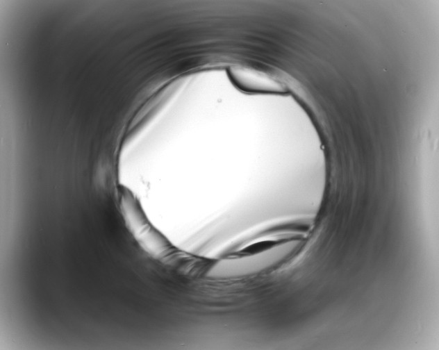 X0000088131145200706041943