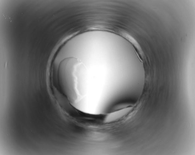 X0000088131146200706041943