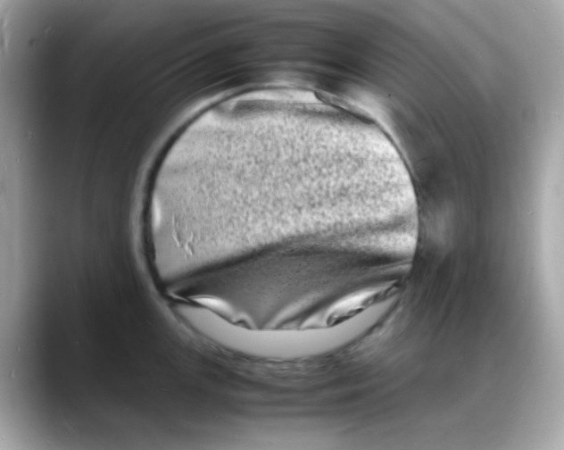 X0000088131147200706041943