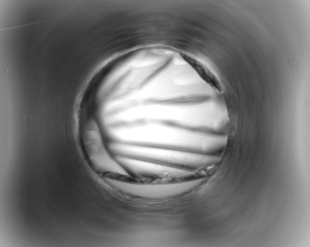 X0000088131151200706041943