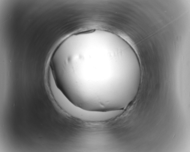 X0000088131152200706041943