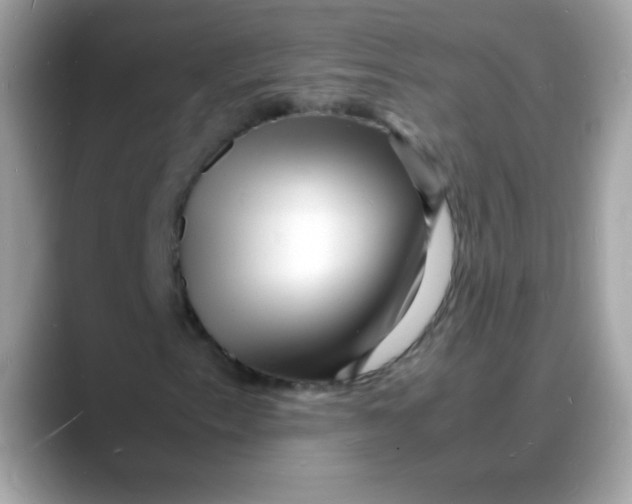 X0000088131153200706041943