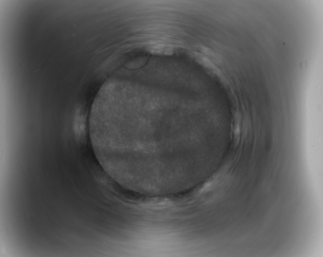 X0000088131154200706041943