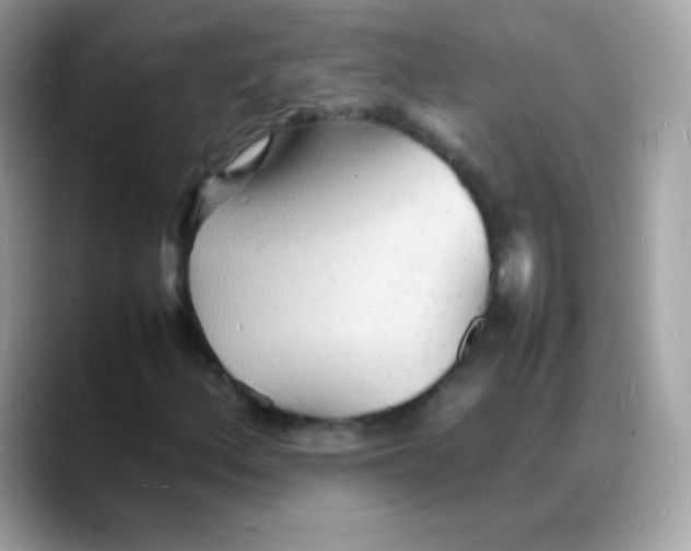 X0000088131156200706041943