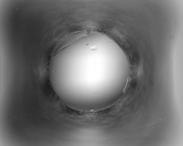 X0000088131157200706041943