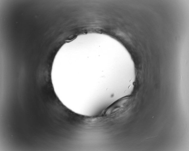 X0000088131159200706041943