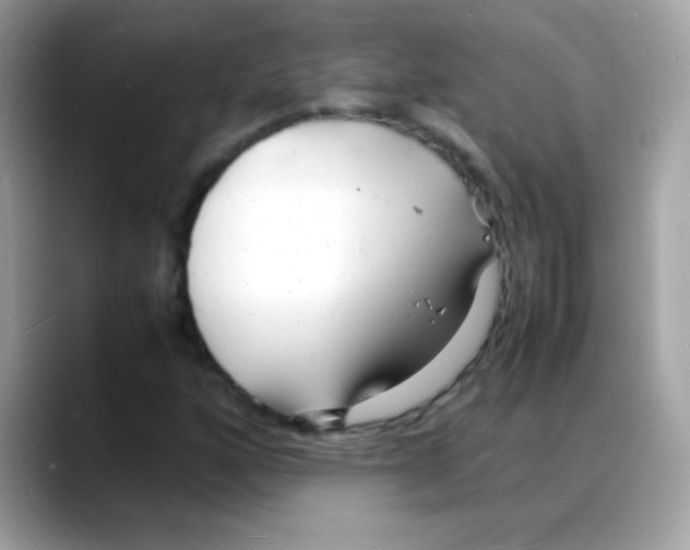 X0000088131160200706041943