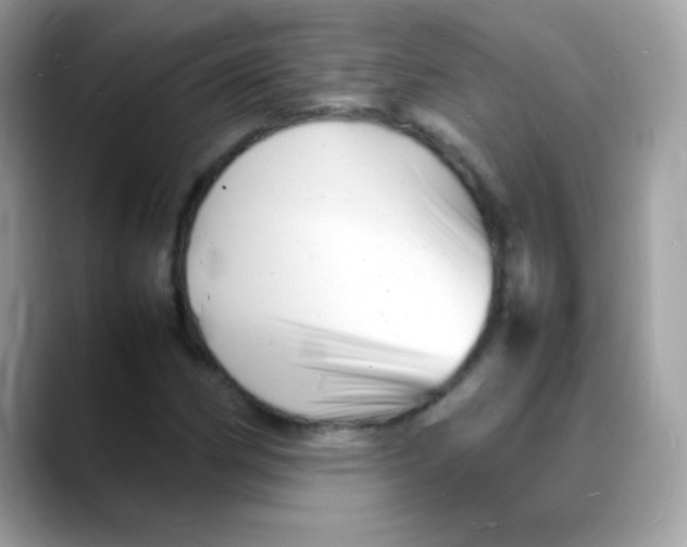 X0000088131162200706041943