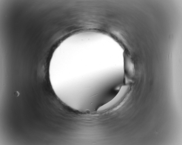 X0000088131163200706041943