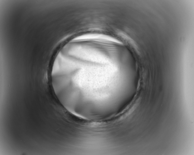 X0000088131166200706041942