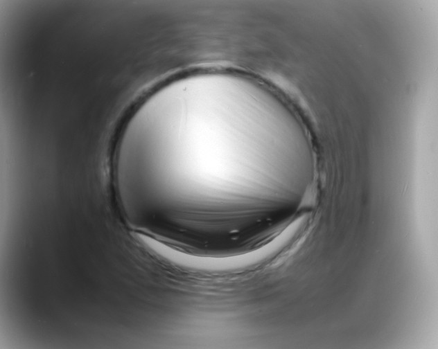 X0000088131167200706041942