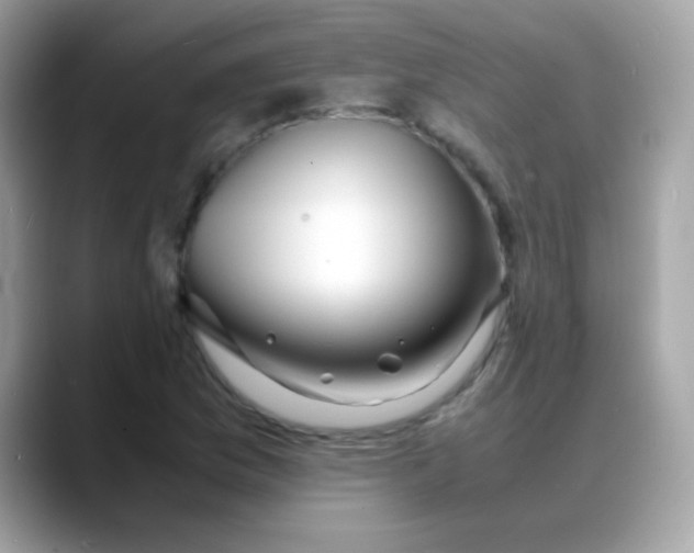 X0000088131169200706041942