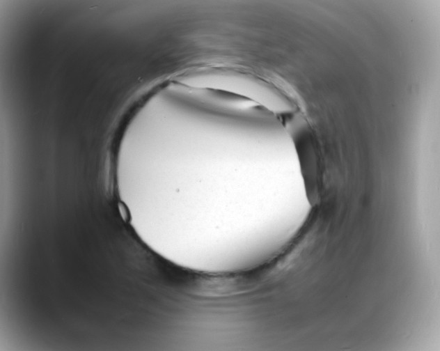 X0000088131171200706041942