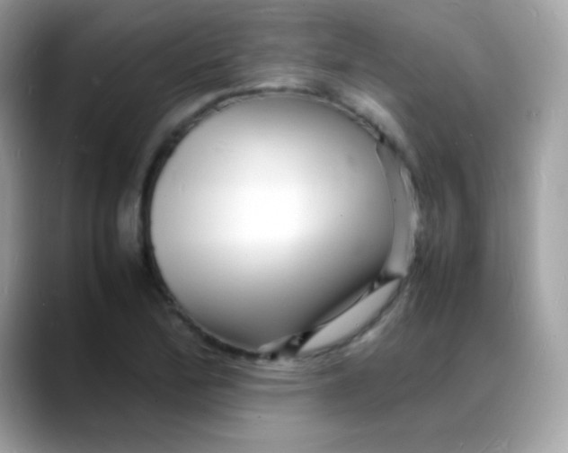 X0000088131172200706041942