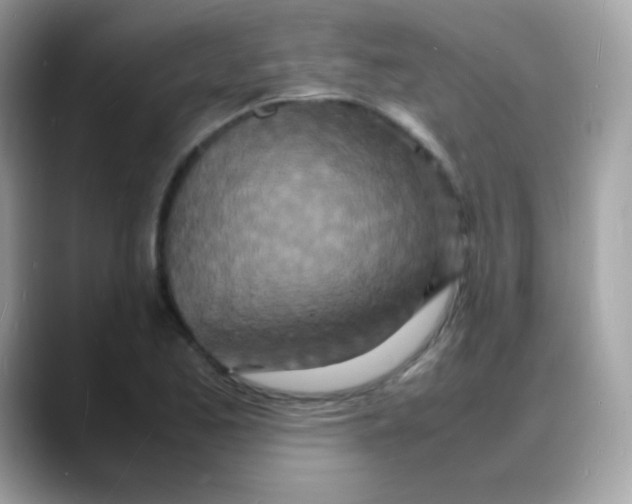 X0000088131173200706041942