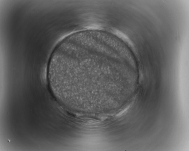 X0000088131174200706041942