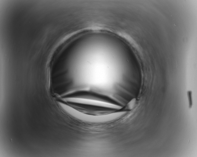 X0000088131175200706041942