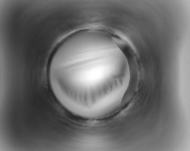 X0000088131176200706041942