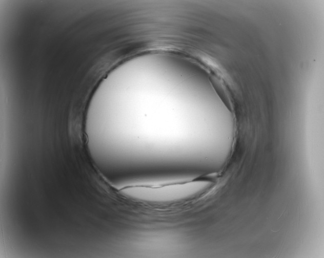 X0000088131177200706041942