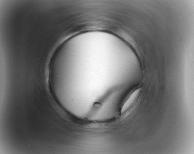 X0000088131179200706041942