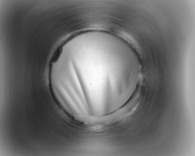 X0000088131180200706041942